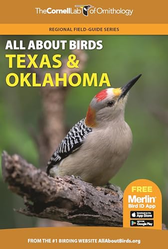Stock image for All About Birds Texas and Oklahoma (Cornell Lab of Ornithology) for sale by SecondSale