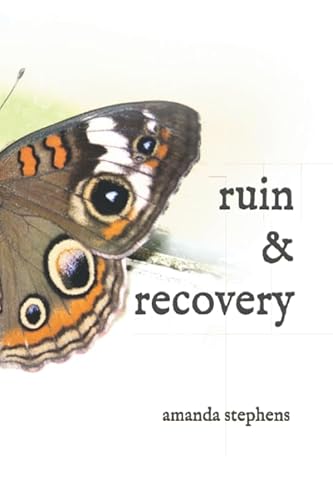 Imagen de archivo de ruin recovery a la venta por Front Cover Books