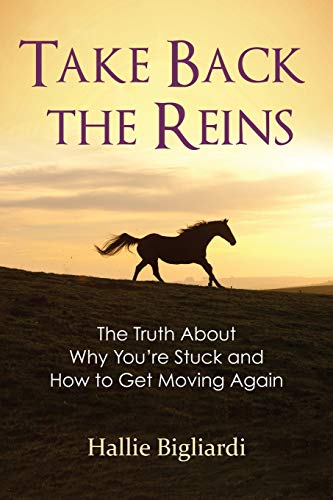 Imagen de archivo de Take Back the Reins: The Truth About Why Youre Stuck and How to Get Moving Again a la venta por Green Street Books