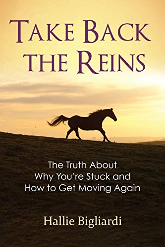 9780692129173: Take Back the Reins: The Truth About Why You're Stuck and How to Get Moving Again