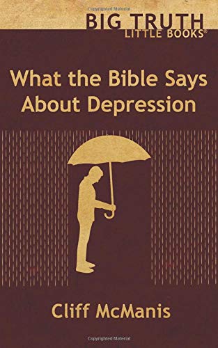Stock image for What the Bible Says About Depression (Big Truth little books) for sale by GF Books, Inc.