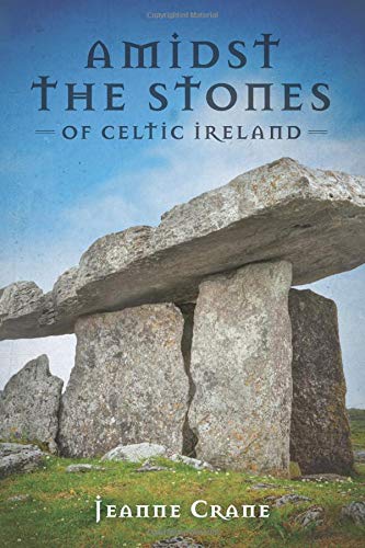 Stock image for Amidst the Stones of Celtic Ireland for sale by ZBK Books