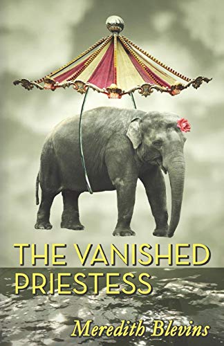 Stock image for The Vanished Priestess for sale by THE SAINT BOOKSTORE