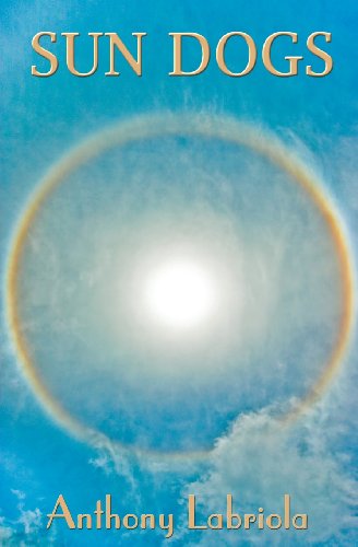 Stock image for Sun Dogs for sale by Abacus Bookshop