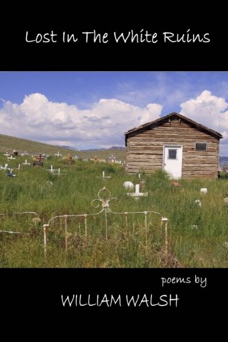 Stock image for Lost in the White Ruins for sale by SecondSale