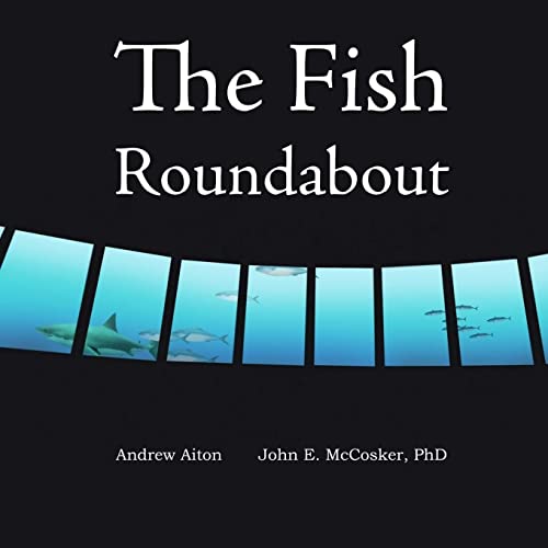 Stock image for The Fish Roundabout for sale by THE SAINT BOOKSTORE