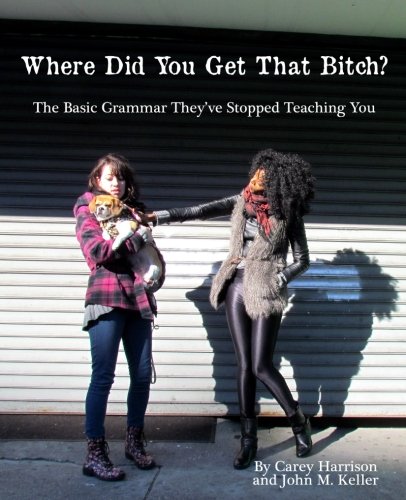 Stock image for Where Did You Get That Bitch?: The Basic Grammar Theyve Stopped Teaching You for sale by Seattle Goodwill