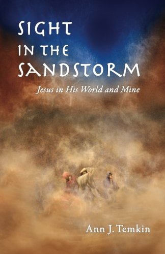 Imagen de archivo de Sight In The Sandstorm: Jesus In His World and Mine a la venta por ThriftBooks-Dallas