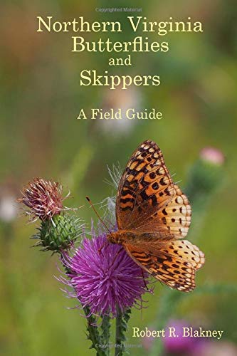 Beispielbild fr Northern Virginia Butterflies and Skippers: A Field Guide zum Verkauf von SecondSale