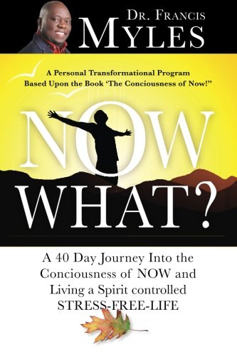 Stock image for Now What?: 40 Days to Mastering the Consciousness of NOW for sale by KuleliBooks
