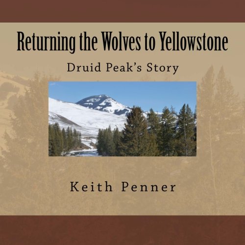 Stock image for Returning the Wolves to Yellowstone: Druid Peak's Story for sale by HPB-Ruby
