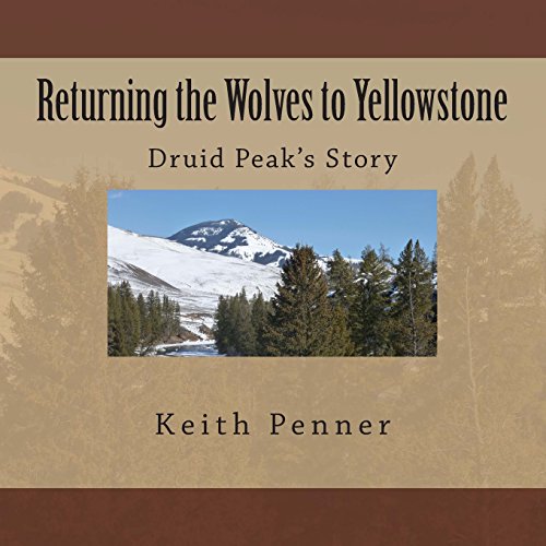 Stock image for Returning the Wolves to Yellowstone: Druid Peak's Story for sale by HPB-Ruby
