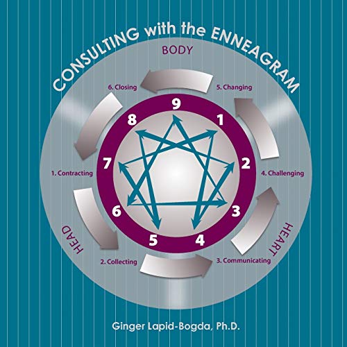 Stock image for Consulting with the Enneagram for sale by SecondSale