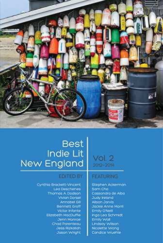 Stock image for Best Indie Lit New England, Vol. 2, 2012-2014 [Volume Two] for sale by Katsumi-san Co.