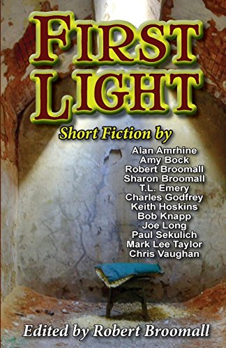 Beispielbild fr First Light: Short Fiction zum Verkauf von Wonder Book