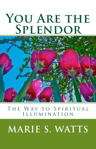 Imagen de archivo de You Are the Splendor: The Way to Spiritual Illumination a la venta por HPB-Diamond
