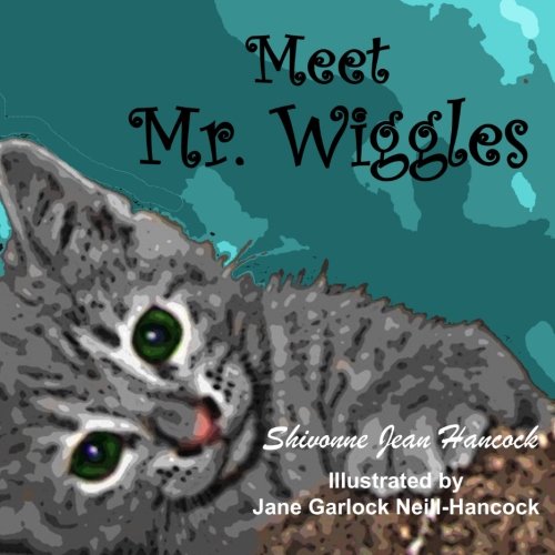 Stock image for Meet Mr. Wiggles for sale by Revaluation Books