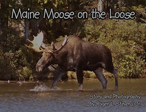 9780692453957: Maine Moose on the Loose