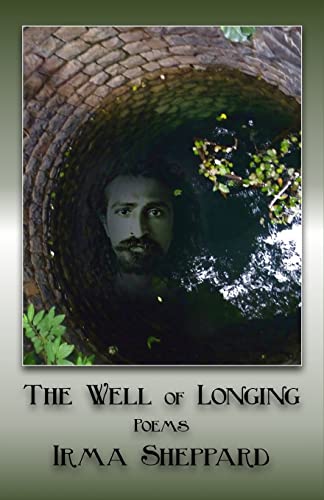 9780692459010: The Well of Longing