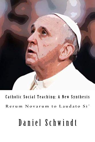 Stock image for Catholic Social Teaching: A New Synthesis (Rerum Novarum to Laudato Si) for sale by Zoom Books Company