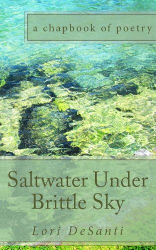 Beispielbild fr Saltwater Under Brittle Sky zum Verkauf von Patrico Books