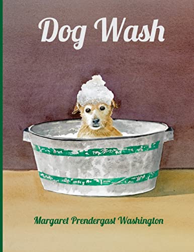 9780692565971: Dog Wash