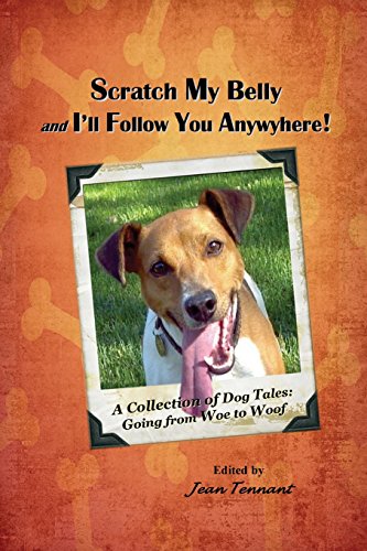 Imagen de archivo de Scratch My Belly & I'll Follow You Anywhere: A Collection of Dog Tales: Going From Woe to Woof a la venta por GF Books, Inc.