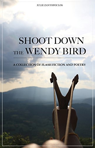 Stock image for Shoot Down the Wendy Bird: A Collection of Flash Fiction and Poetry for sale by HPB-Ruby