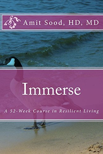 Imagen de archivo de Immerse: A 52-Week Course in Resilient Living: A Commitment to Live With Intentionality, Deeper Presence, Contentment, and Kindness. (Volume 1) a la venta por SecondSale