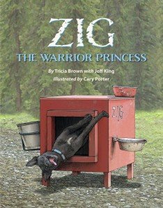 Imagen de archivo de Zig The Princess Warrior a la venta por Jenson Books Inc