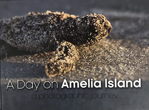 Imagen de archivo de A Day on Amelia Island; A photographic Journey a la venta por Alplaus Books