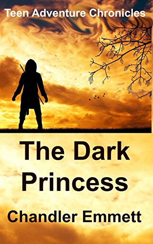 Stock image for The Dark Princess (Teen Adventure Chronicles) for sale by Lucky's Textbooks