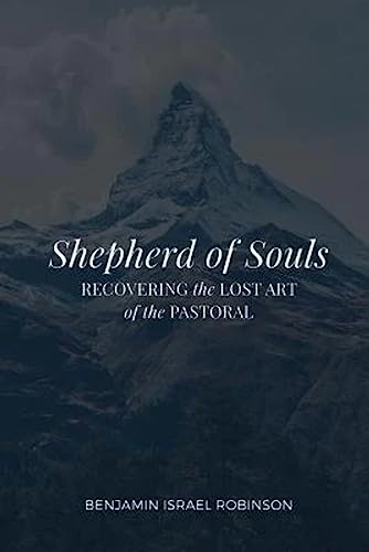 Imagen de archivo de Shepherd of Souls: Recovering the Lost Art of the Pastoral a la venta por BooksRun