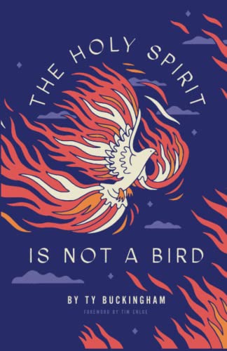 Stock image for The Holy Spirit Is Not A Bird for sale by THE SAINT BOOKSTORE