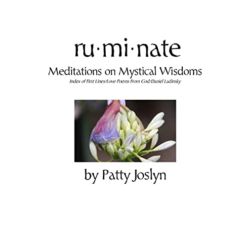Stock image for ruminate: Meditations on Mystical Wisdoms for sale by Lucky's Textbooks