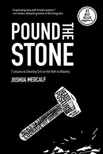 Stock image for Pound The Stone: 7 Lessons To Develop Grit On The Path To Mastery for sale by Front Cover Books