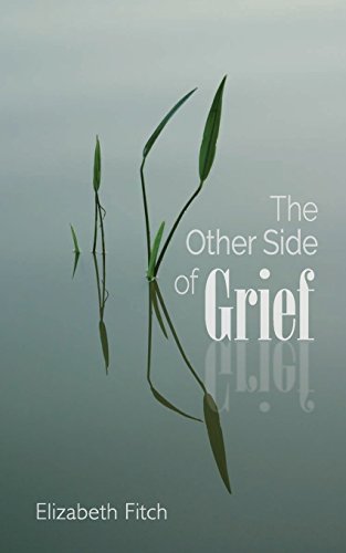 Imagen de archivo de The Other Side of Grief a la venta por Better World Books