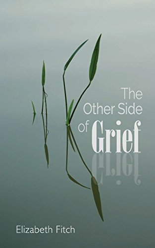 Stock image for The Other Side of Grief for sale by Better World Books
