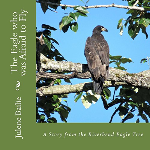 Stock image for The Eagle Who Was Afraid to Fly for sale by Better World Books