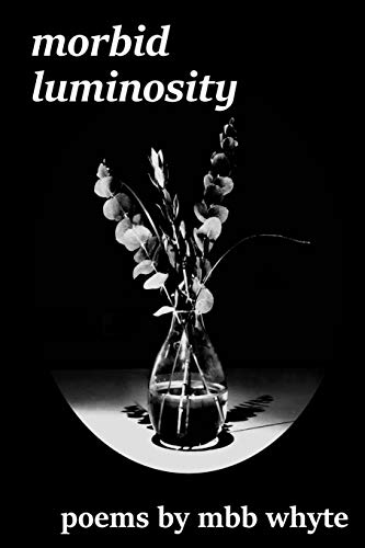Imagen de archivo de Morbid Luminosity a la venta por Lucky's Textbooks