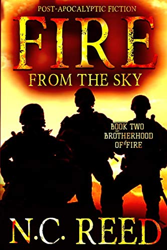 9780692949450: Fire From The Sky: Brotherhood of Fire: 2