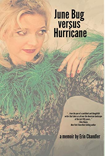Stock image for June Bug Versus Hurricane (Hardback or Cased Book) for sale by BargainBookStores