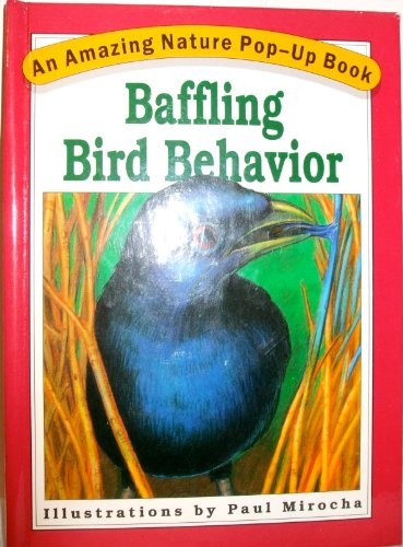 Stock image for Baffling Bird Behavior (An Amazing Nature Pop-Up Book) for sale by Wonder Book