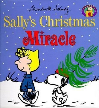 Beispielbild fr Sally's Christmas Miracle zum Verkauf von Better World Books