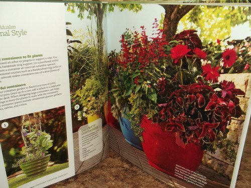 Imagen de archivo de Container Gardening Made Easy a la venta por Better World Books