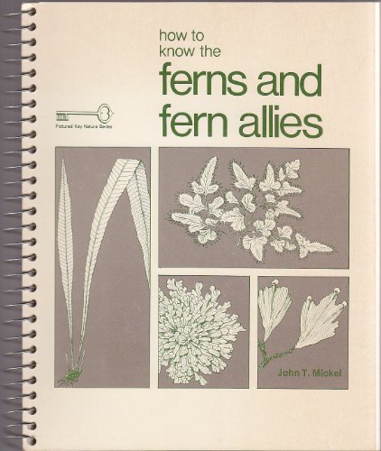 9780697047717: How to Know the Ferns and Fern Allies (Picture Key Nature S.)