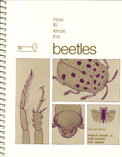 Stock image for How to Know Beetles Second Edition for sale by Friendly Books