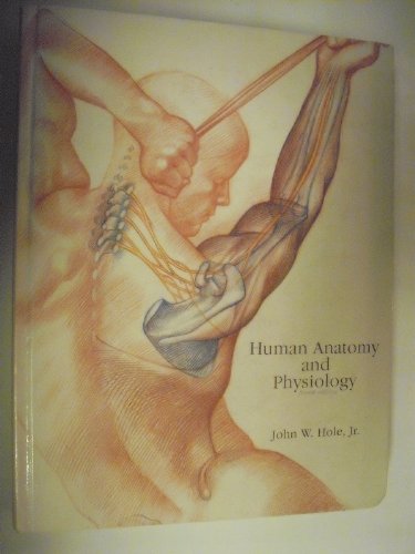 Stock image for Human anatomy and physiology for sale by HPB-Red