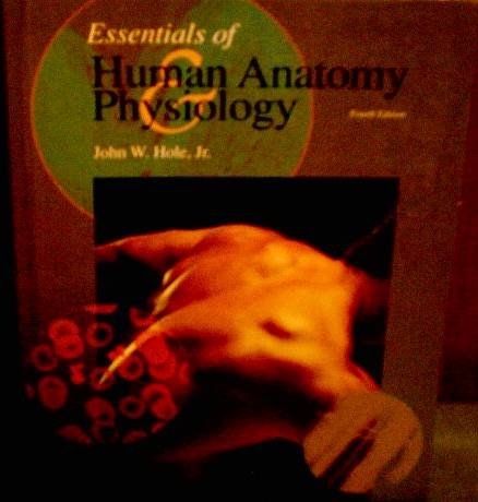Beispielbild fr Essentials of Human Anatomy Physiology zum Verkauf von HPB-Emerald