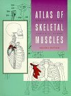 Imagen de archivo de Atlas of the Skeletal Muscles a la venta por WorldofBooks